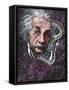 Albert Einstein, German Physicist-Bill Sanderson-Framed Stretched Canvas