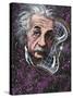 Albert Einstein, German Physicist-Bill Sanderson-Stretched Canvas