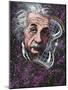 Albert Einstein, German Physicist-Bill Sanderson-Mounted Photographic Print