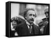 Albert Einstein in Washington, c.1922-Harris & Ewing-Framed Stretched Canvas