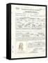 Albert Einstein's Petition for Naturalization-null-Framed Stretched Canvas