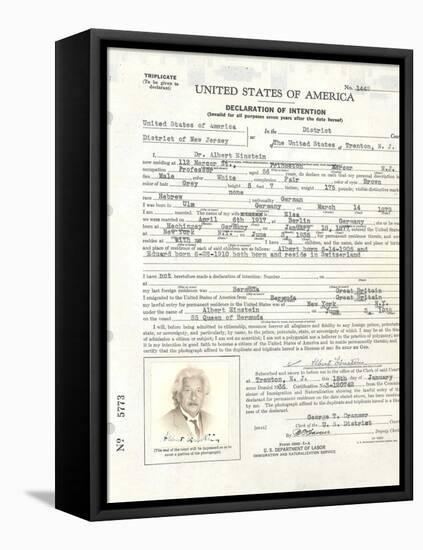 Albert Einstein's Petition for Naturalization-null-Framed Stretched Canvas