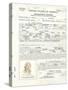 Albert Einstein's Petition for Naturalization-null-Stretched Canvas