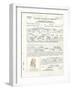 Albert Einstein's Petition for Naturalization-null-Framed Photo