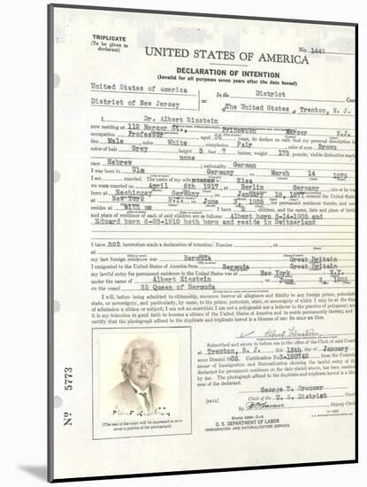 Albert Einstein's Petition for Naturalization-null-Mounted Photo