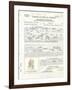 Albert Einstein's Petition for Naturalization-null-Framed Photo