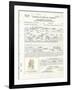 Albert Einstein's Petition for Naturalization-null-Framed Photo