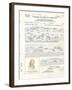 Albert Einstein's Petition for Naturalization-null-Framed Photo