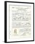 Albert Einstein's Petition for Naturalization-null-Framed Photo