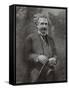 Albert Einstein Scientist During His Visit to Paris in 1922-null-Framed Stretched Canvas