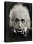 Albert Einstein-null-Stretched Canvas