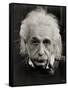 Albert Einstein-null-Framed Stretched Canvas