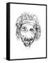 Albert Einstein-Octavian Mielu-Framed Stretched Canvas