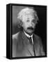 Albert Einstein-null-Framed Stretched Canvas