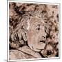 Albert Einstein-Detlev Van Ravenswaay-Mounted Photographic Print