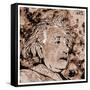 Albert Einstein-Detlev Van Ravenswaay-Framed Stretched Canvas