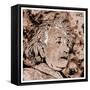 Albert Einstein-Detlev Van Ravenswaay-Framed Stretched Canvas