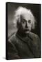 Albert Einstein-Oren Jack Turner-Framed Stretched Canvas