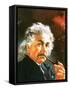 Albert Einstein-English School-Framed Stretched Canvas