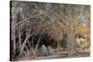 Stretched Canvas