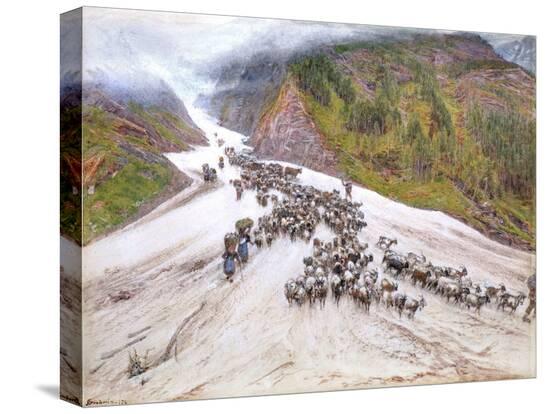 Stretched Canvas Print, , large