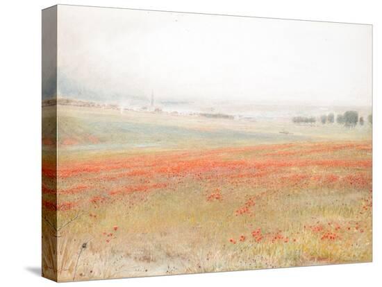 Stretched Canvas Print, , large