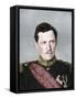 Albert, King of Belgium, First World War, 1914-W&D Downey-Framed Stretched Canvas