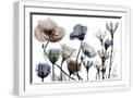 White Frame