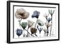 Chelsea Black