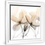 Gramercy White