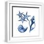White Frame