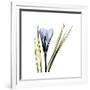 Gramercy White