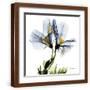 Brown Frame