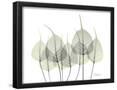Essential Black