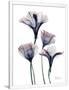 Gramercy White