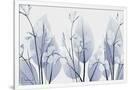 Gramercy White