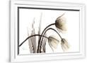 Gramercy White