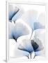 Gramercy White