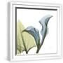 White Frame
