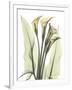 Gramercy White