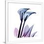 Gramercy White