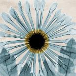 Chrysanthemum Close-Up-Albert Koetsier-Art Print