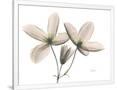 Gramercy White