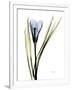 Gramercy White