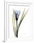 Gramercy White