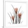 Gramercy White