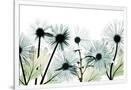 Gramercy White