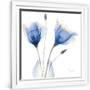 Gramercy White