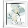 Gramercy White