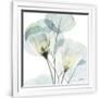 Gramercy White